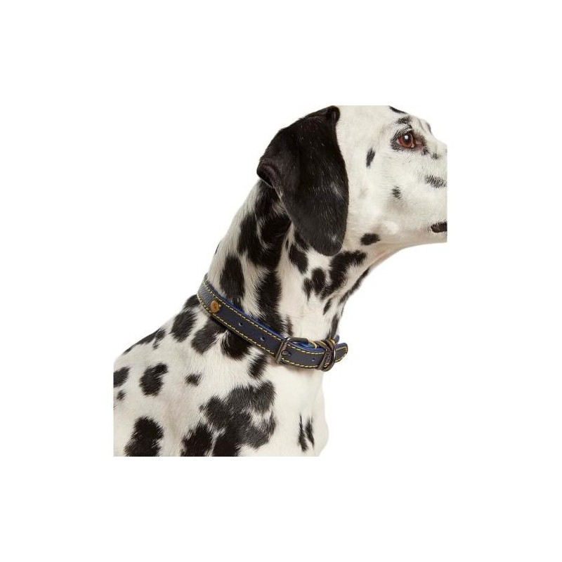 Joules Hundehalsband aus Leder Small dunkelblau