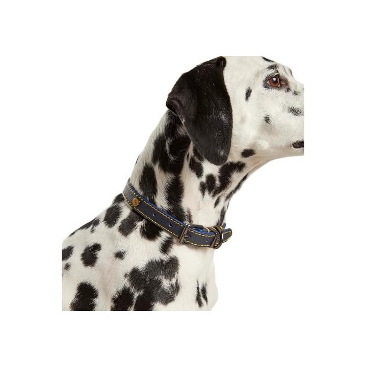 Joules Hundehalsband aus Leder Small dunkelblau