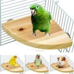 Fächerförmiger Vogelpapagei-Holzständer, Vogelkäfig-Zubehör, Sitzstange für Kleintiere, Chinchilla, Eichhörnchen, Hamster, St