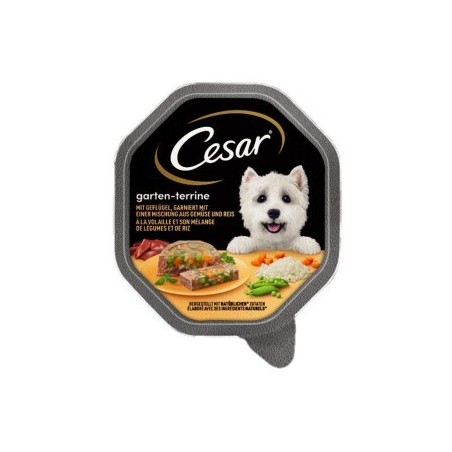 Cesar Garten-Terrine 14x150g Geflügel, Gemüse & Reis
