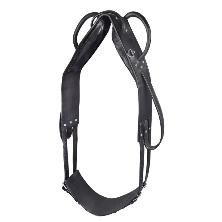 Waldhausen Voltigiergurt