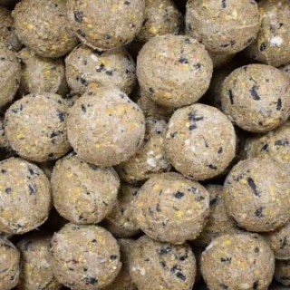 KLASEBO Meisenknödel Premium mit Insekten 100 x ca. 90 Gramm ohne Netz, Futter für Wildvögel, Fettfutter Vögel