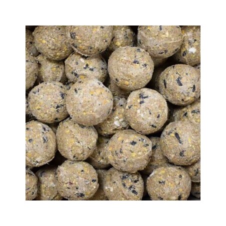 KLASEBO Meisenknödel Premium mit Insekten 100 x ca. 90 Gramm ohne Netz, Futter für Wildvögel, Fettfutter Vögel