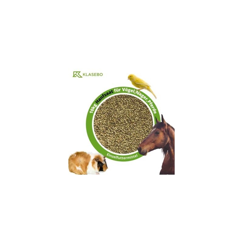 KLASEBO Hanfsaat, Hanfsamen, Futterhanf 10kg für Vögel, Nager und Pferde