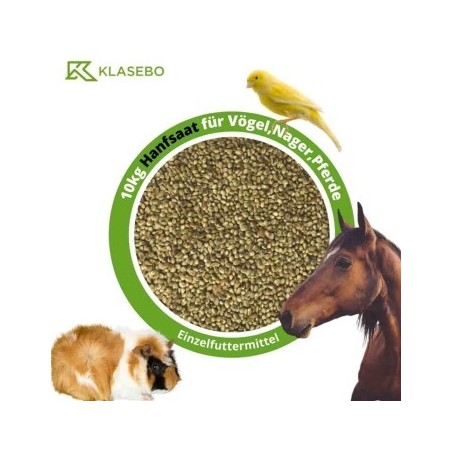 KLASEBO Hanfsaat, Hanfsamen, Futterhanf 10kg für Vögel, Nager und Pferde