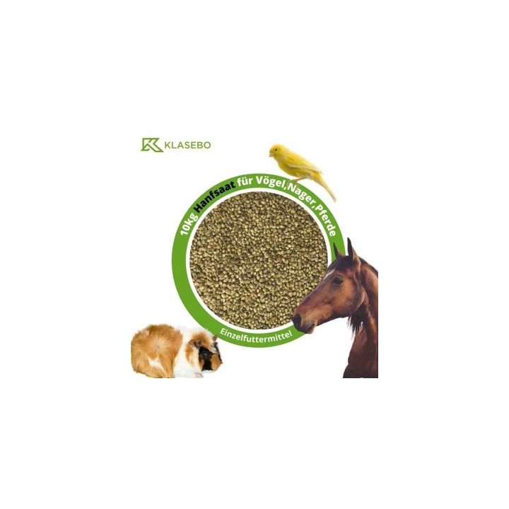 KLASEBO Hanfsaat, Hanfsamen, Futterhanf 10kg für Vögel, Nager und Pferde