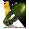 Tierhood Leuchtehalsband LED Halsband grün S