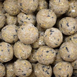 KLASEBO Meisenknödel Premium mit Insekten 200 x ca. 90 Gramm ohne Netz, Futter für Wildvögel, Fettfutter Vögel