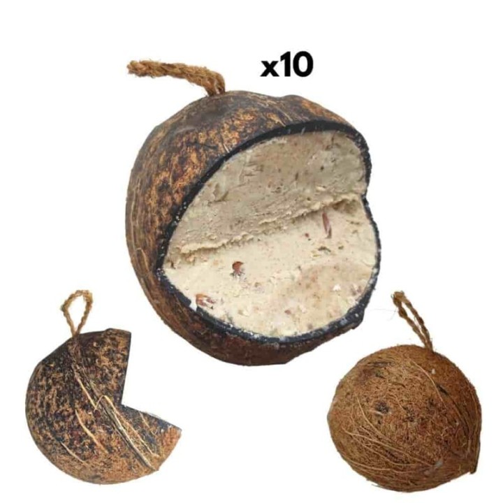 KLASEBO Vogelfutter, 10 Kokosnuss Klassik V-cut für freilebende Vögel