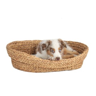 Rohrschneider ® Tierbett Wasserhyazinthe groß