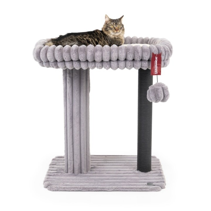 Canadian Cat Company Kratzbaum Charlotte