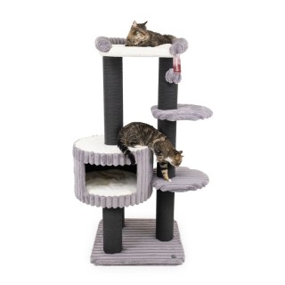 Canadian Cat Company Kratzbaum Edward