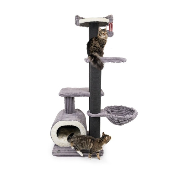 Canadian Cat Company Kratzbaum Barrie