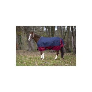 Equitheme Regendecke 50 g 1200 Denier 1,25 m