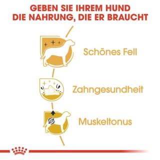 Royal Canin Poodle Adult Hundefutter - 1,5 kg