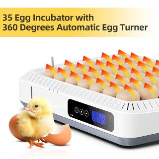 35 Eier-Inkubator, 360 Grad, automatischer Eierwender, Inkubatoren zum Ausbrüten von Eiern mit Temperatur und US Plug weiß