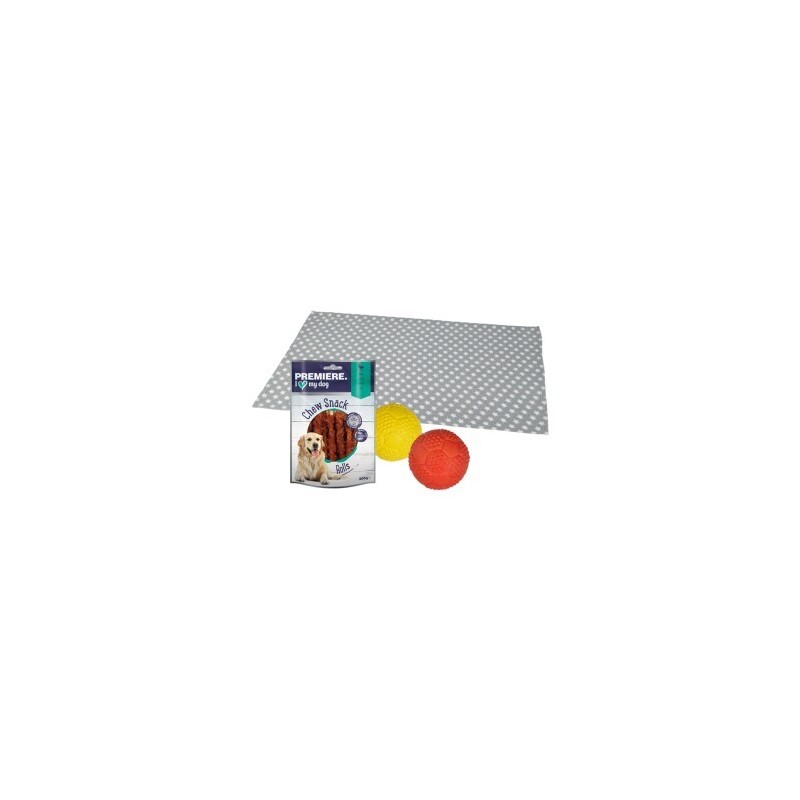 FIT+FUN Set Training - Snack + Ball + Liegedecke