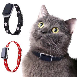 GPS-Locator Haustierhalsband Hund Katze Tier Wasserdicht, Verlust, Diebstahlsicher One Size schwarz