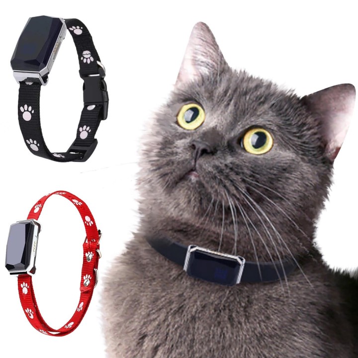 GPS-Locator Haustierhalsband Hund Katze Tier Wasserdicht, Verlust, Diebstahlsicher One Size schwarz