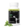 Peticare Wurm-Mix Pulver für Hunde, Natürliche Alternative | 90 gr
