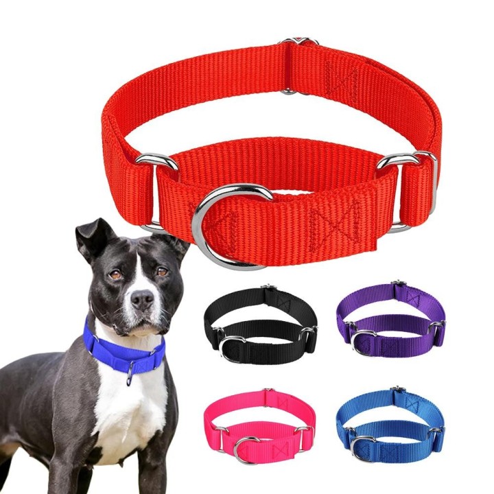 Martingale Strapazierfähiges Hundehalsband aus Nylon, verstellbar, weich und bequem, für kleine und große Hunde, Sicherheitst