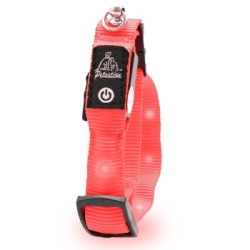 Petsation leuchtendes Katzenhalsband rot