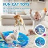 Wassersensorische Spielmatte für Katzen, Katzenspielzeug für gelangweilte Hauskatzen, Katzenspielzeug-Selbstspielmatte, Inter