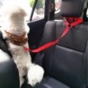 2 teile/los Solide Einstellbare Dual Zweck Pet Auto Sitz Gürtel Blei Leine Rücksitz Sicherheit Gürtel Hunde Harness Kragen fü