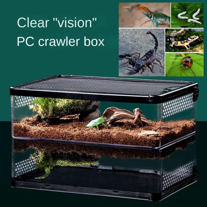 Raupenbox für Zucht und Zucht, Hornfrosch, Hamster, Schlangenkäfig, Schildkrötenpanzer, Fluchtschutz für kleine Haustiere. Ra