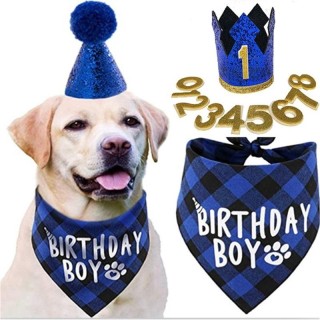 5 teile/satz Hund Geburtstag Bandana Und Hut Geburtstag Junge Mädchen Schal Party Waschbar Fliege Pet Hunde Party Dekoration