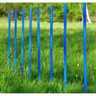 PfotenWunder® 10x Slalomstangen, Profi-Agility-Slalom-Set groß Sport, für kleine & große Hunde-Training Parcour Zubehör