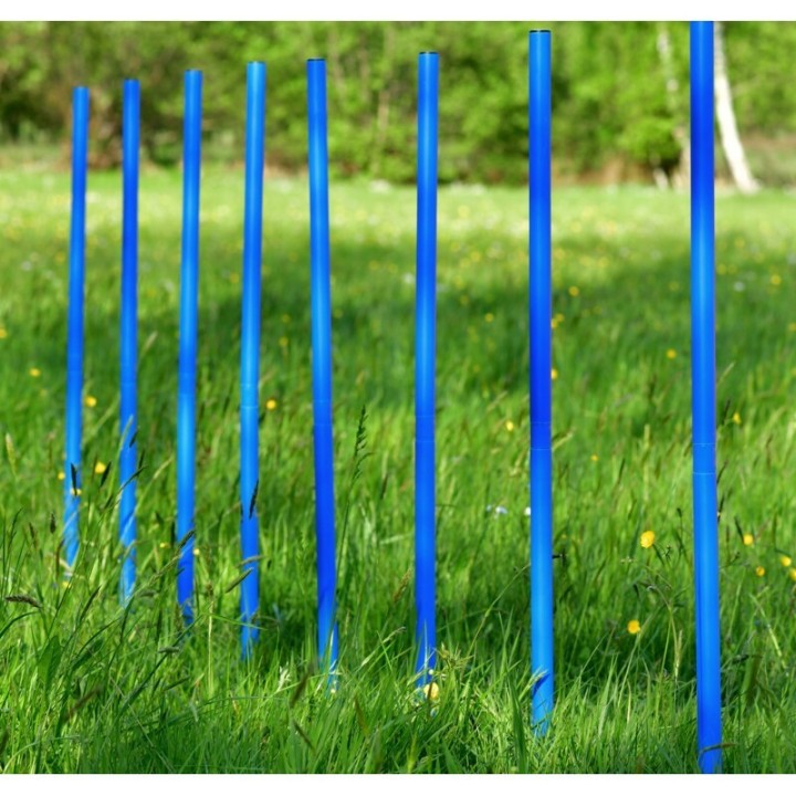 PfotenWunder® 10x Slalomstangen, Profi-Agility-Slalom-Set groß Sport, für kleine & große Hunde-Training Parcour Zubehör