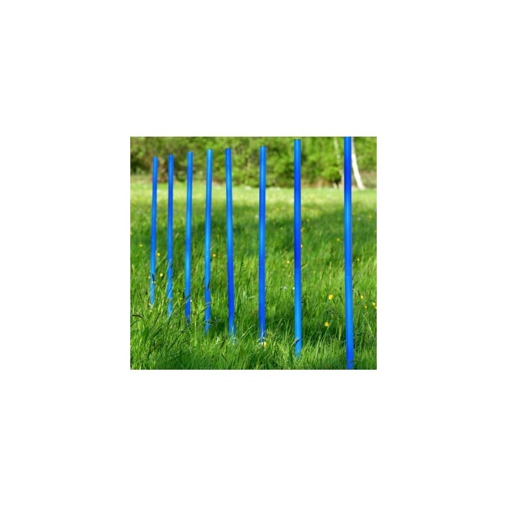 PfotenWunder® 10x Slalomstangen, Profi-Agility-Slalom-Set groß Sport, für kleine & große Hunde-Training Parcour Zubehör