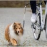 Trixie Hunde Biker-Set