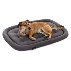 Doctor Bark Pointer Hundekissen grau XL