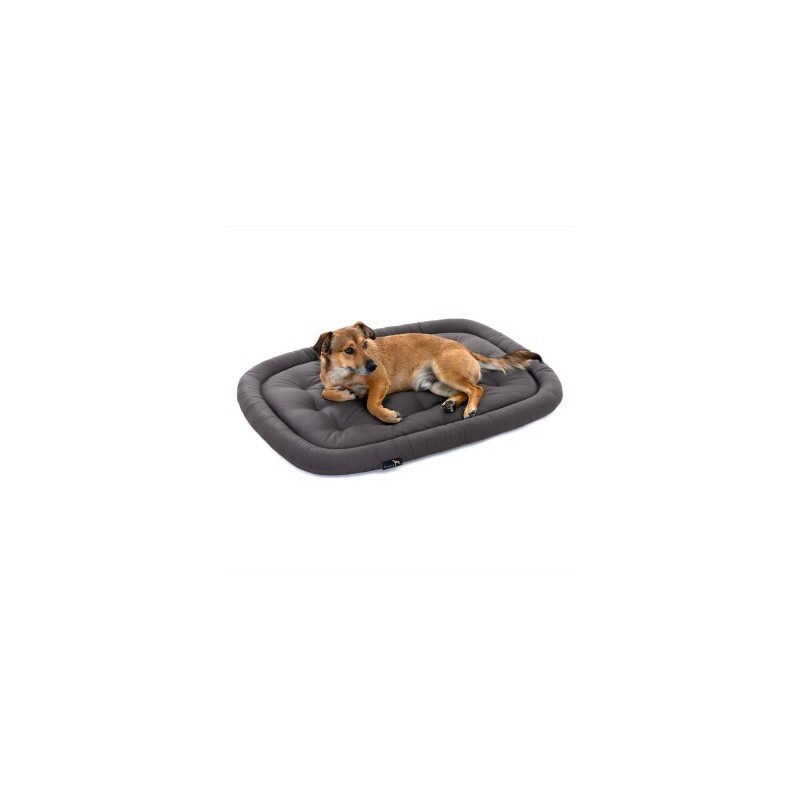 Doctor Bark Pointer Hundekissen grau XL