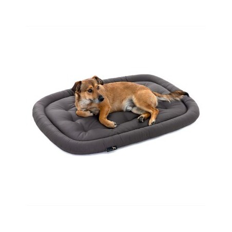 Doctor Bark Pointer Hundekissen grau XL