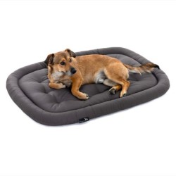 Doctor Bark Pointer Hundekissen grau M