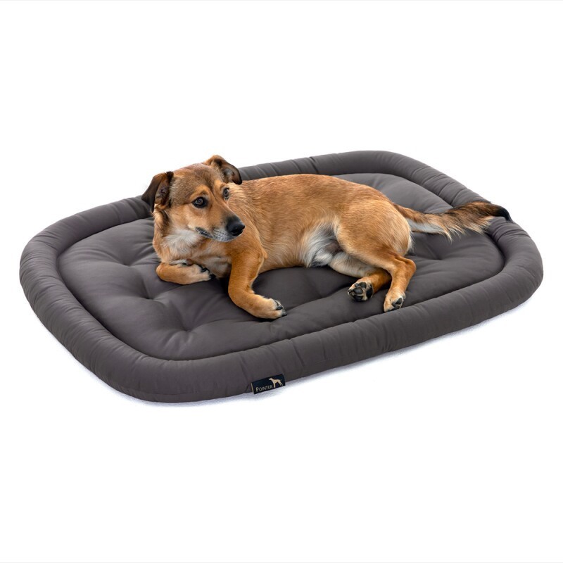 Doctor Bark Pointer Hundekissen grau M