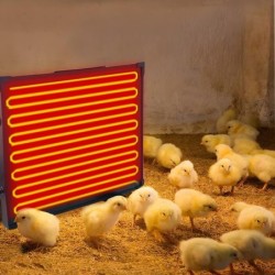 Hühnerstallheizung, 145 Watt, Strahlungswärme, Hühnerheizung, energieeffizient, sicherer als Brutlampe EU Plug schwarz