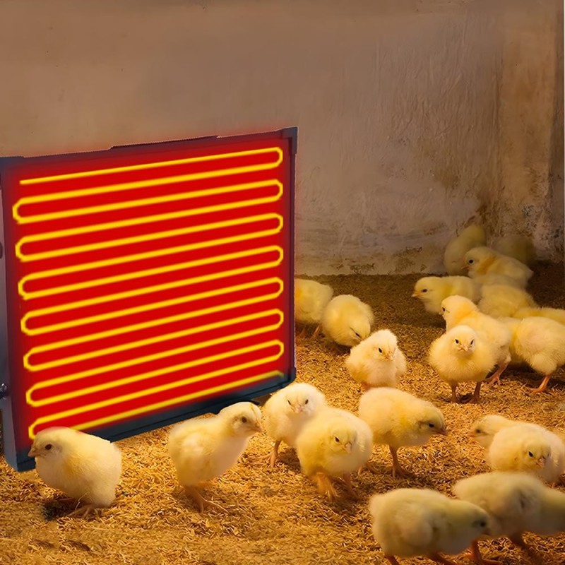 Hühnerstallheizung, 145 Watt, Strahlungswärme, Hühnerheizung, energieeffizient, sicherer als Brutlampe EU Plug schwarz