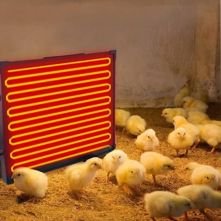 Hühnerstallheizung, 145 Watt, Strahlungswärme, Hühnerheizung, energieeffizient, sicherer als Brutlampe EU Plug schwarz