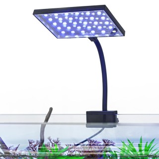 LED Aquarium Licht Clip-On Fisch Tanks Licht mit rotierenden Kopf weiße LEDs Landschaftsbau Lampe für Riff 88A-EU schwarz