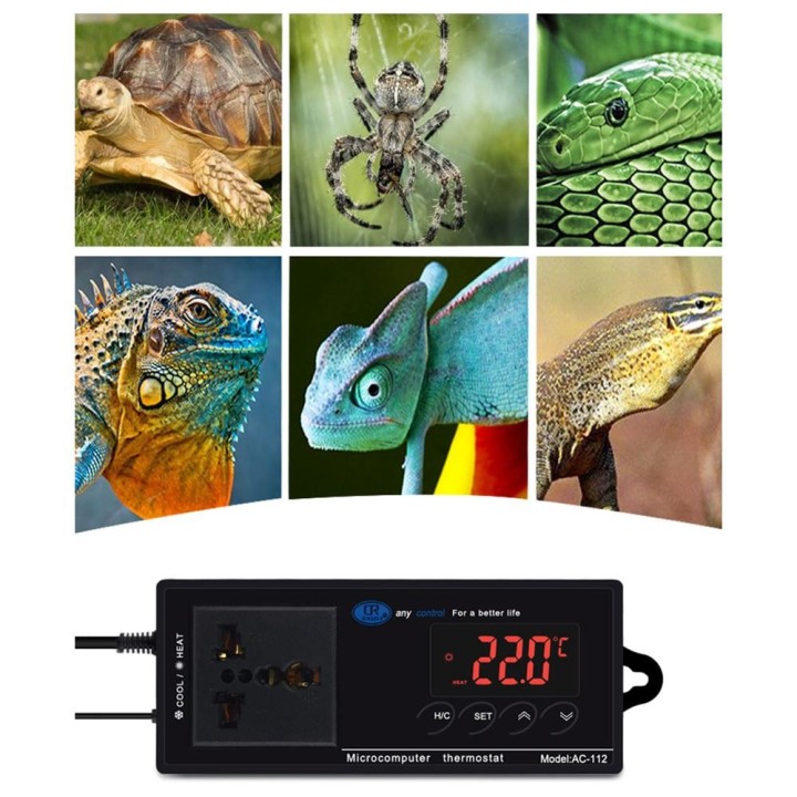 Digitaler Temperaturregler Thermostat Auslass Reptilienthermostat gesteuert mit Heizung & US Plug schwarz