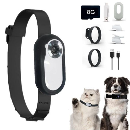 Katzenkamerahalsband mit 8 GB Speicherkarte, kabellose kleine Sportkamera mit Videoaufzeichnung 1080P High-Clear B weiß