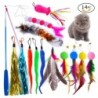 Katzenspielzeug-Set, Raupenfeder, Ersatzkopf, bunter Haarball, Quaste, einziehbare Angelrute colourful