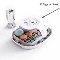 Eierbrutkasten zum Schlüpfen mit automatischem Eierdrehen, LED-Ei-Testlampe, transparenter Deckel, leicht zu waschen 16 EU Pl