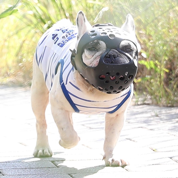 Maulkorb für Hunde mit kurzer Schnauze. Atmungsaktive Löcher verhindern beißendes Kauen Medium schwarz