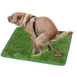 Hundetoilette mit Rasenmatte für kleine bis große Rassen