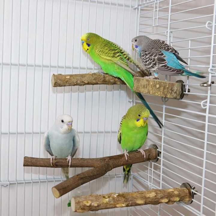 6-teiliger Papageiensitzstangen-Vogelständer mit Trapez, 2 Papageiensitzstangen und kreisförmigen Plattformen, natürlicher Ho